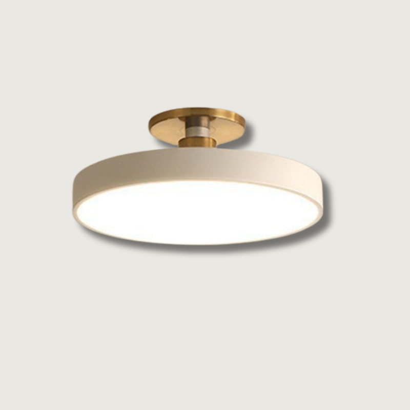 Minimalist LED Flush Mount Ceiling Light with Natural Wood Accents – Modern Ceiling Lamp for Home Lighting 6